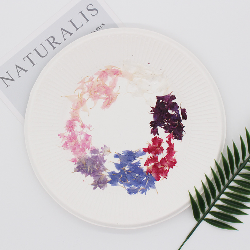 20 Plant Specimens of Cornflow - Resin Art Baby 评论和价格
