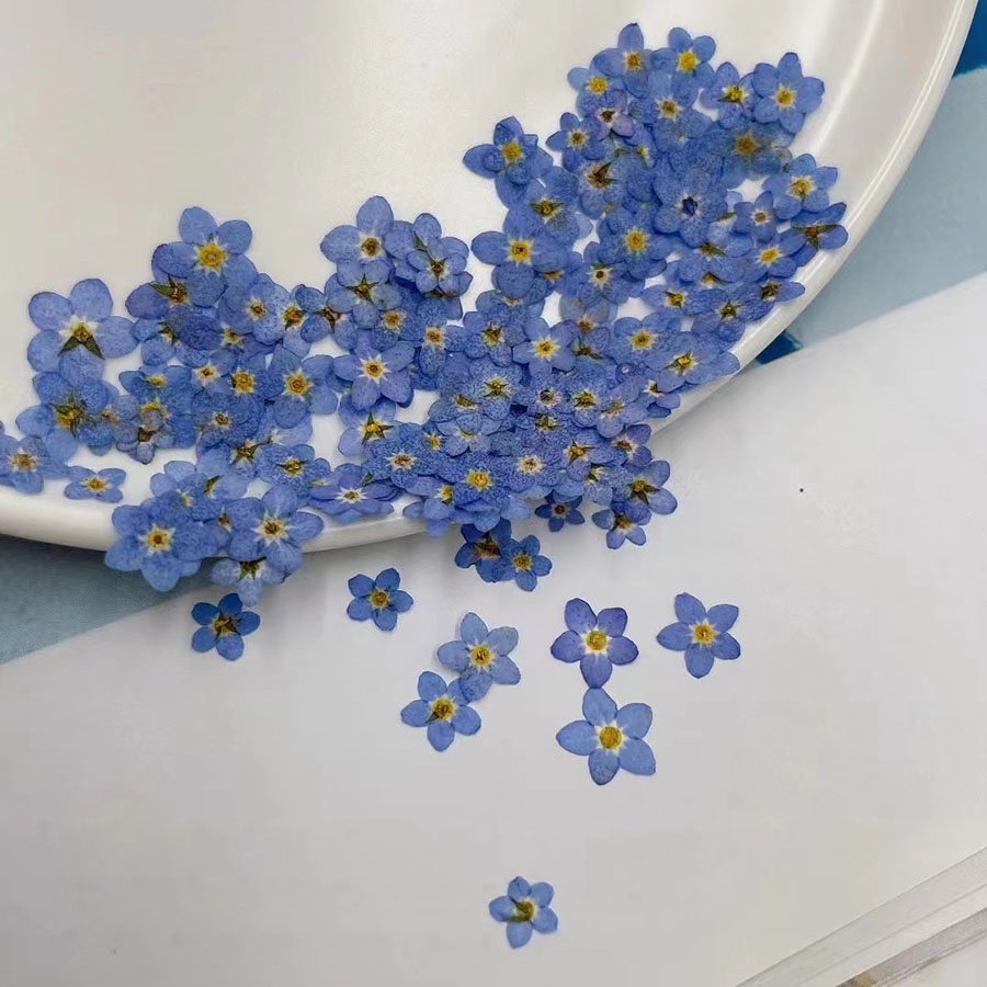 60pcs Mini Pressed Dried Flowe - Resin Art Baby 评论和价格